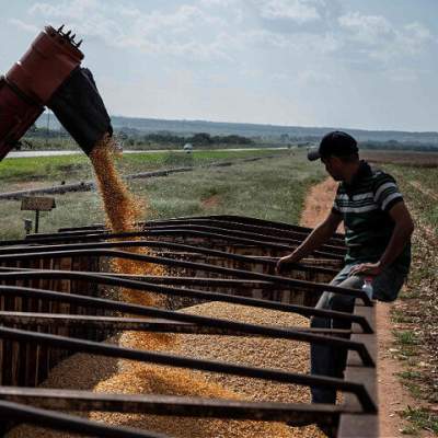 Venezuela: Socialists Offer Iran Massive Farmland Giveaway